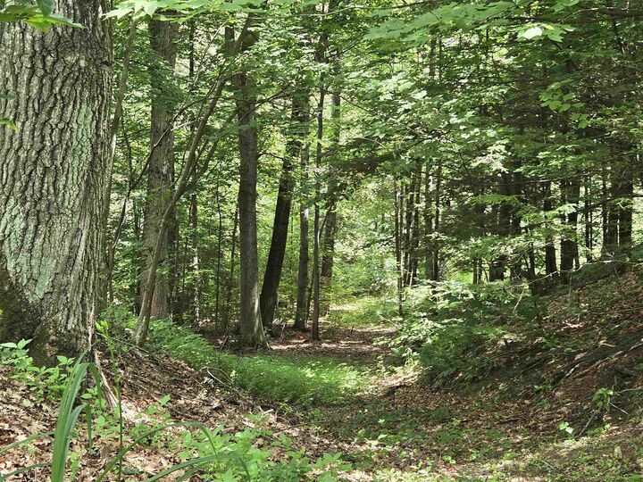 Property Photo: 208 Nh Route 3A NH 03243
