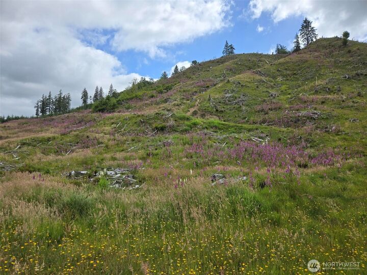 Property Photo:  0 Off Of  North River Road  WA 98537 