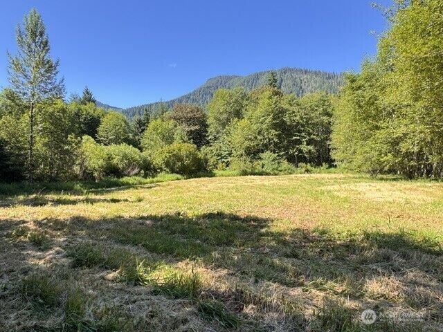 Property Photo: 0 Xxx Pleasant Valley Rd WA 98356