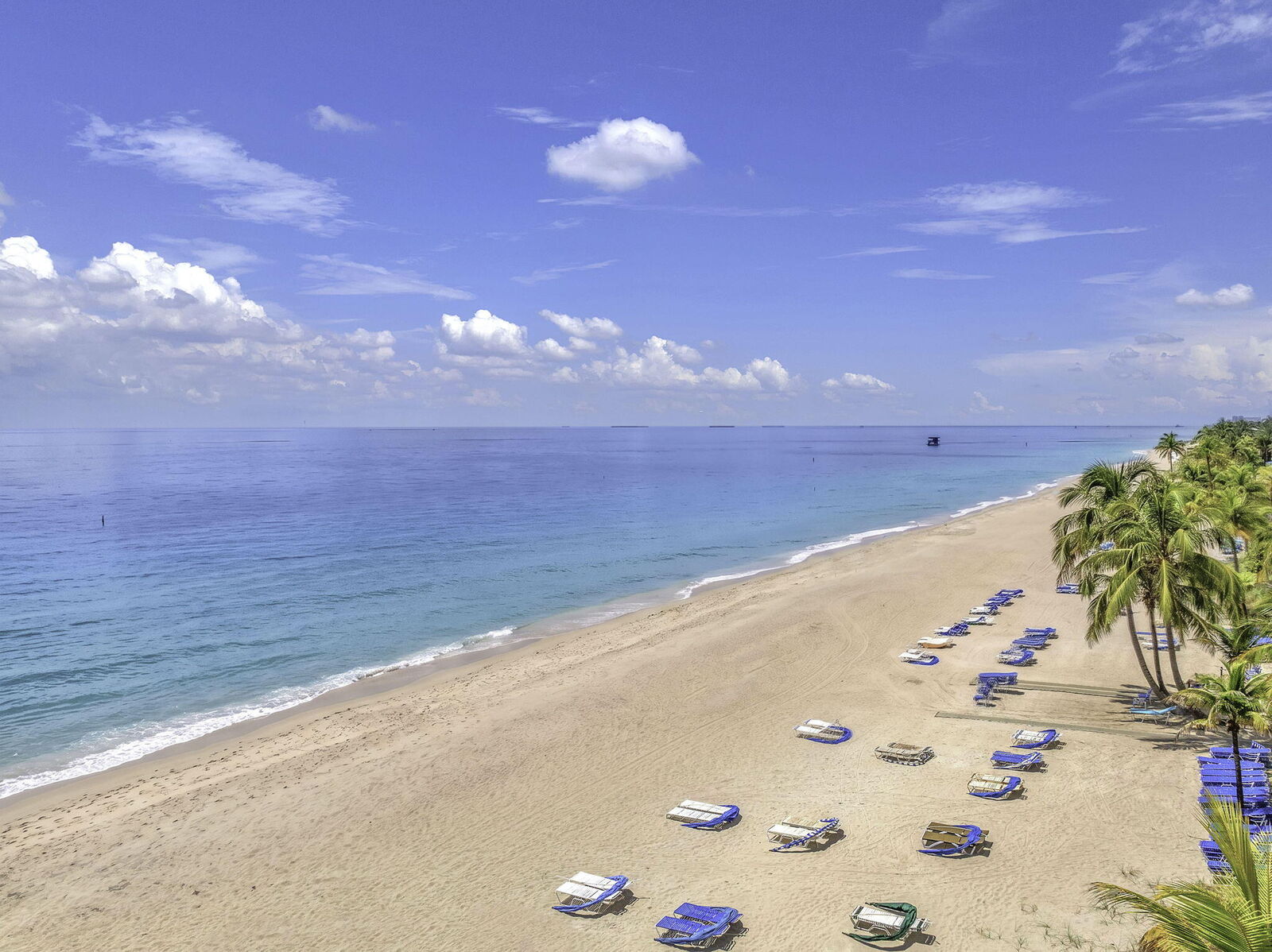 Property Photo:  3500 Galt Ocean Drive 2115  FL 33308 