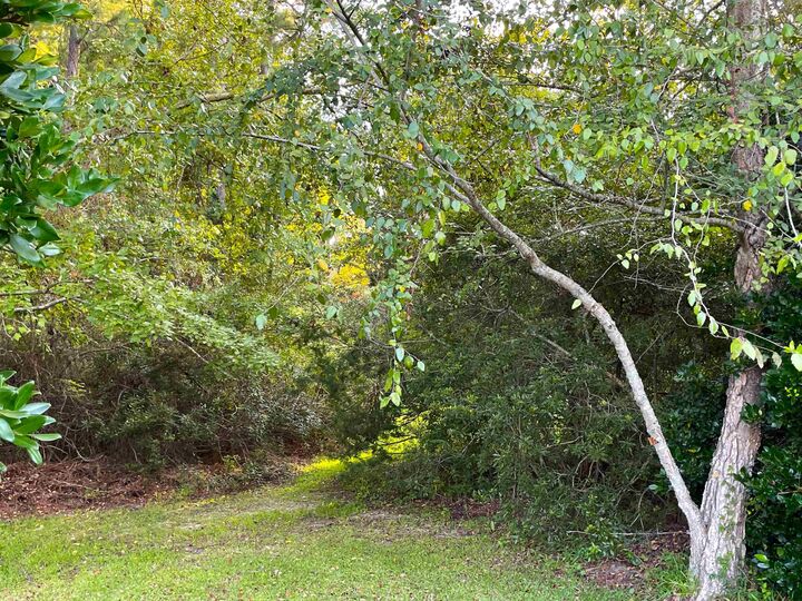 Property Photo:  500 Spauldingwood Rd.  SC 29566 