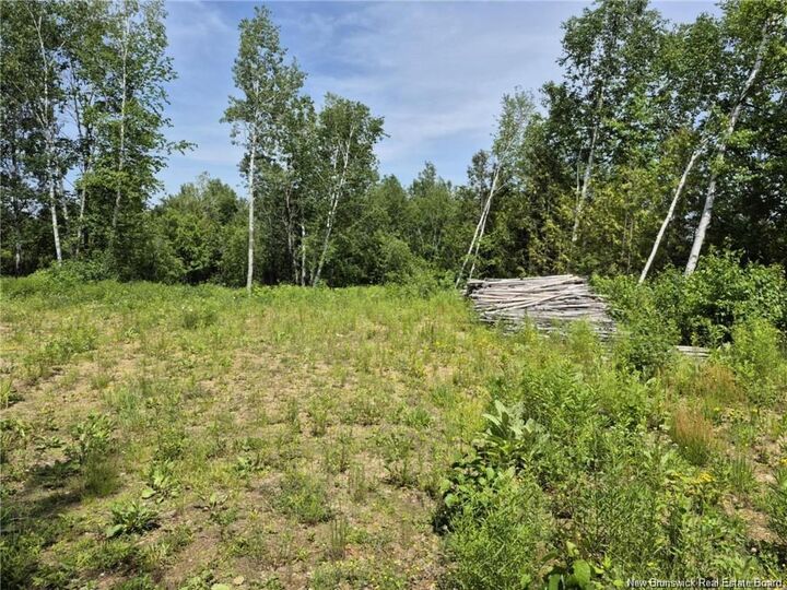1 Acres Rue Amos — photo 1