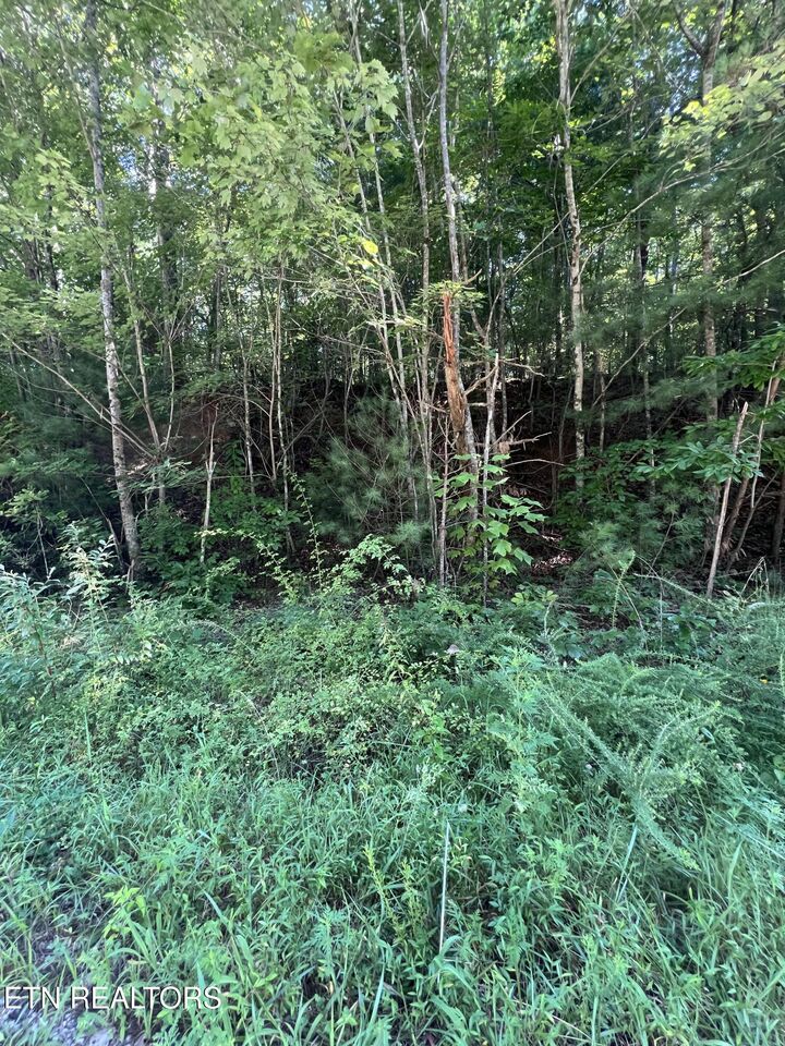 Property Photo:  0.22 Ac Hickory Hollow Rd  TN 38572 