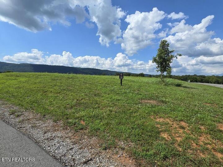 Property Photo:  Farmview Way Lot 18  TN 37327 