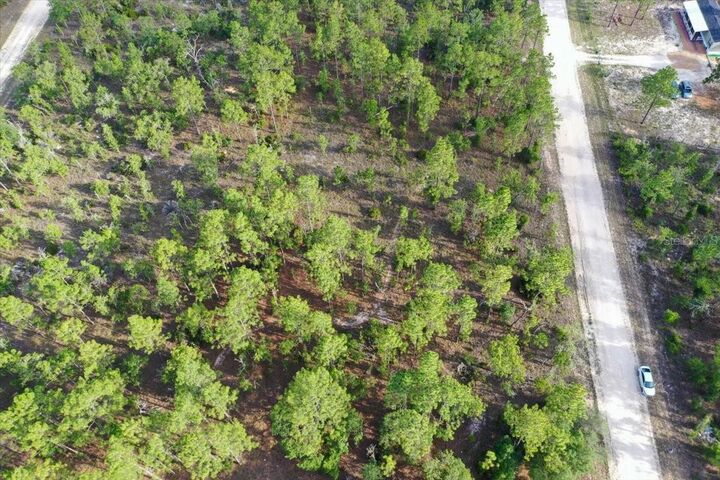 Property Photo: 0000 NE 131 Lot 8 Terrace FL 32696
