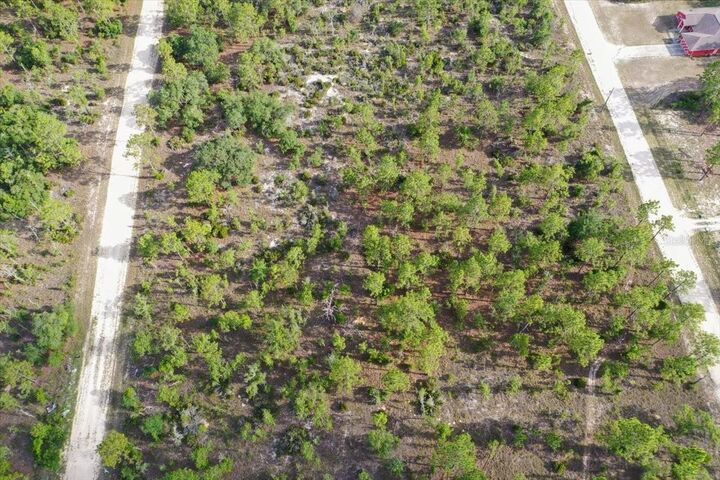 Property Photo: 0000 NE 132 Terrace Lot 4 Terrace FL 32696