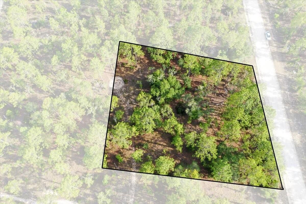 Property Photo: 0000 NE 131 Lot 9 Terrace FL 32696