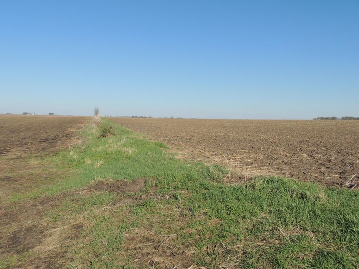 Property Photo: Tbd 740th Avenue MN 55936