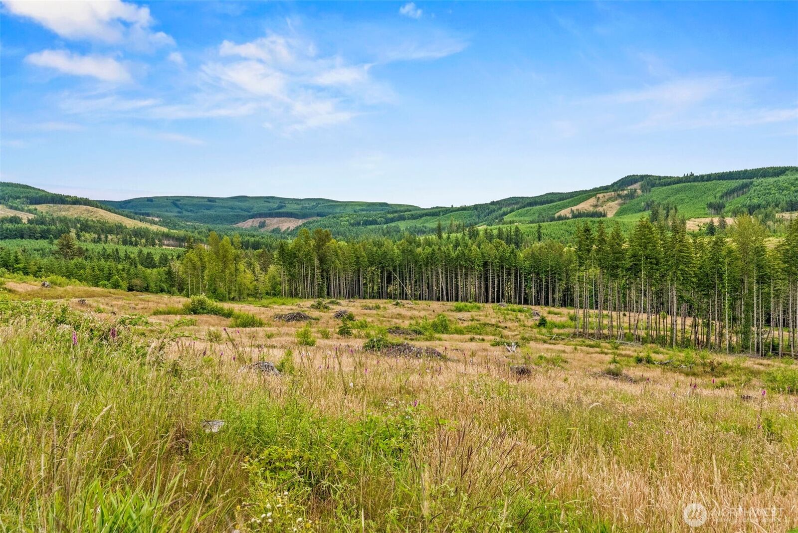 Property Photo:  3 Lot 3  Parker Road  WA 98649 