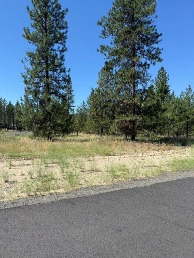 Property Photo: Lot 12 Long Lake Estates Est WA 99026