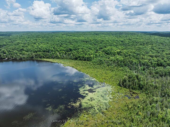 Property Photo:  0 Kashagawigamog Lake Road  ON K0M 2K0 