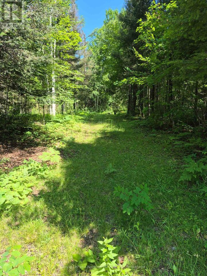 Property Photo:  227 Richards Road  ON P0H 1V0 