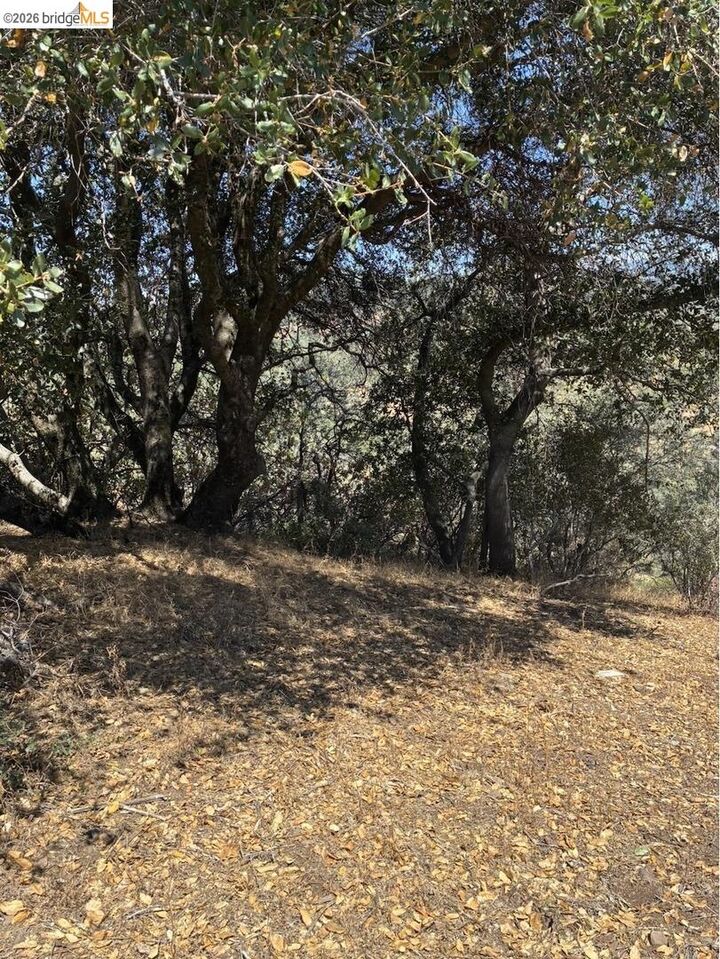 Property Photo: 21289 Oman Dr. CA 95372