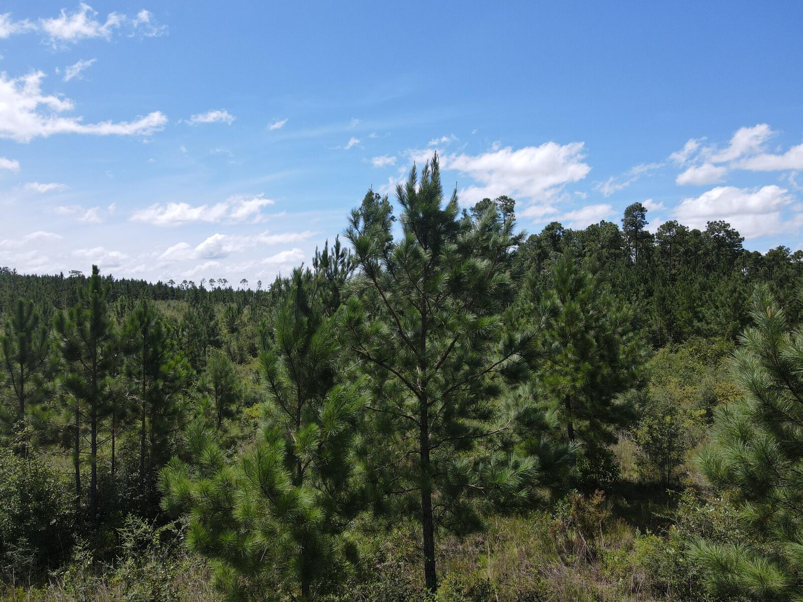 Property Photo:  A-12 Silas Drive  FL 32570 