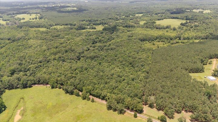 Property Photo: Tbd 38.110 Ac Cr 3206 TX 75681