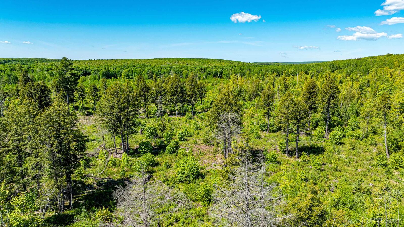 Property Photo:  Tbd 1 Pelkie Road  MI 49958 