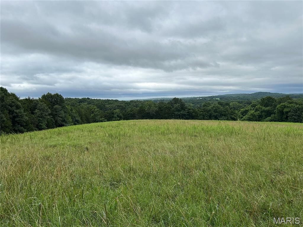 Property Photo: 0 Allen Road MO 63050