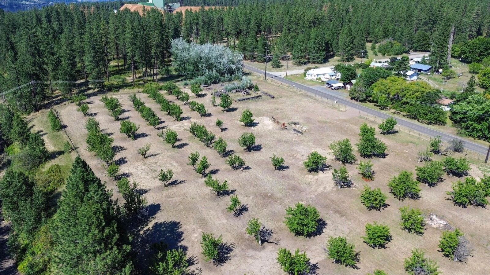 Property Photo:  1244 Peachcrest Rd  WA 99141 