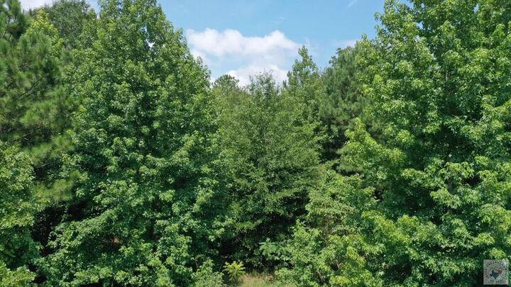 Property Photo:  0001 County Road 3885  TX 75572 