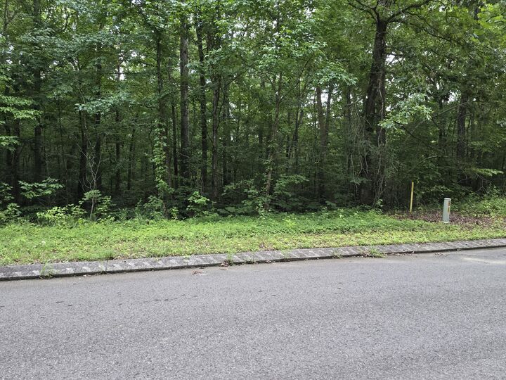 Property Photo:  Lot 144 Lower Brow Road  TN 37327 