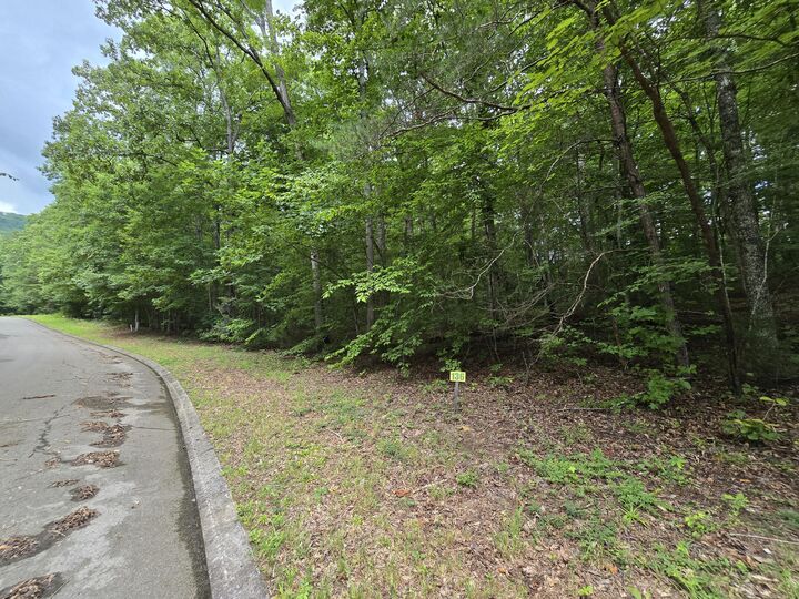 Property Photo:  Lot 136 Lower Brow Road  TN 37327 