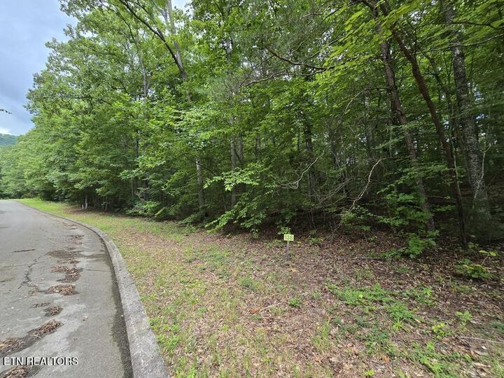 Property Photo:  Lot 136 Lower Brow Rd  TN 37327 