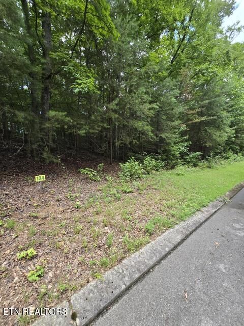 Property Photo:  Lot 134 Lower Brow Rd  TN 37327 