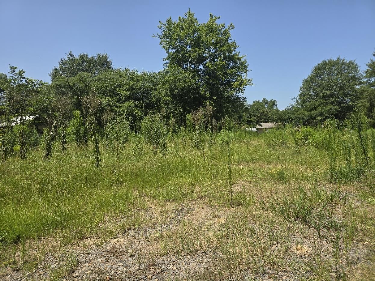 Property Photo:  307 Washington  TX 75563 