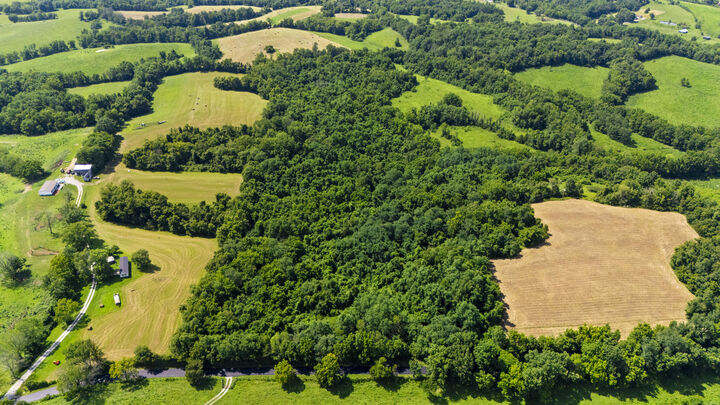 Property Photo:  223 Plum Lick Road  KY 40361 