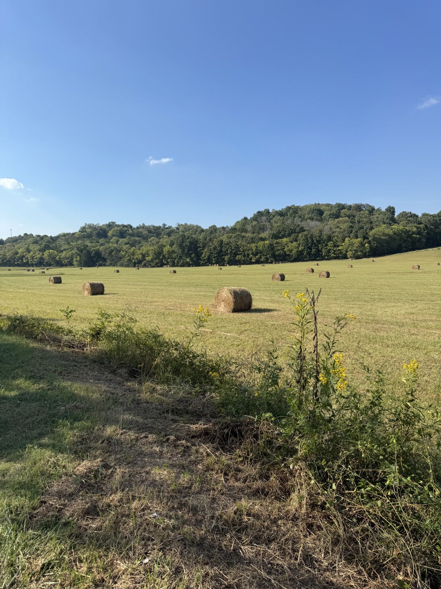 Property Photo: 0 Cheatham Springs Road TN 37183