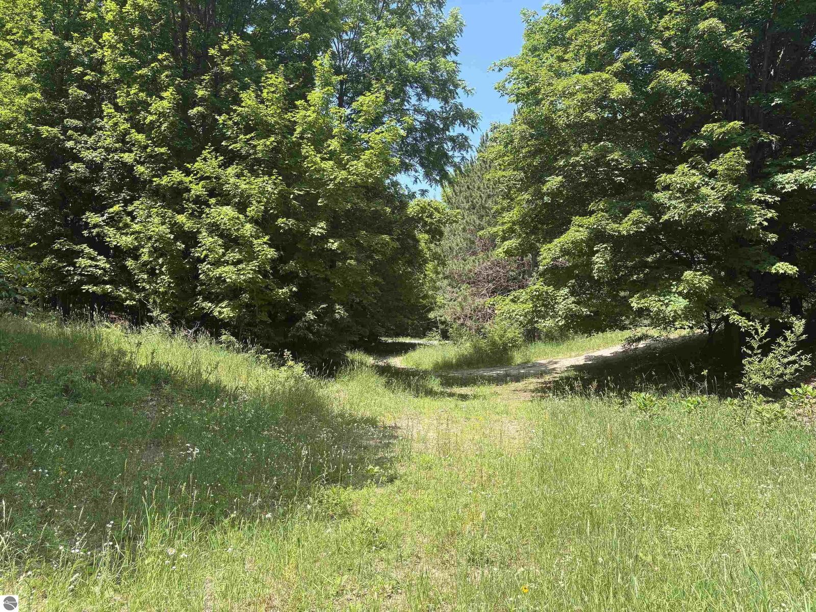 Property Photo:  3475 Grace Road  MI 49635 
