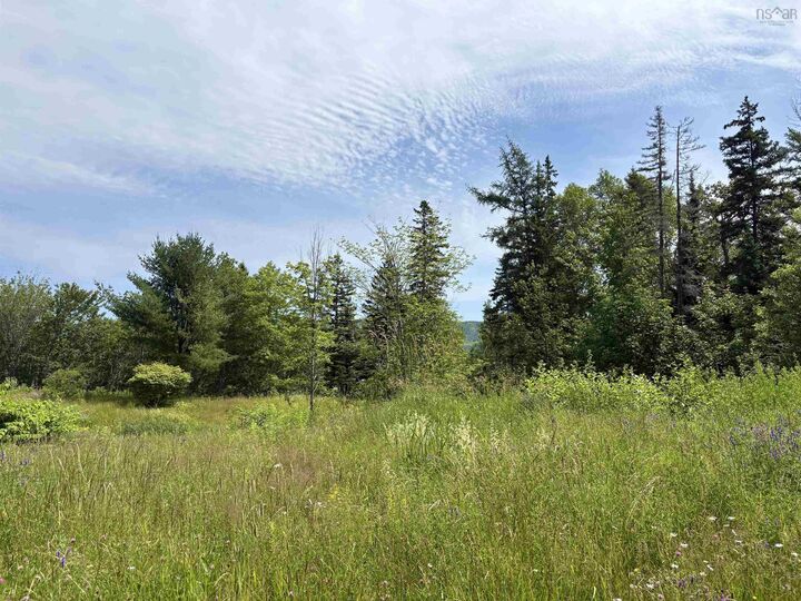 Property Photo:  1629 West Side Middle River  NS B0E 1B0 