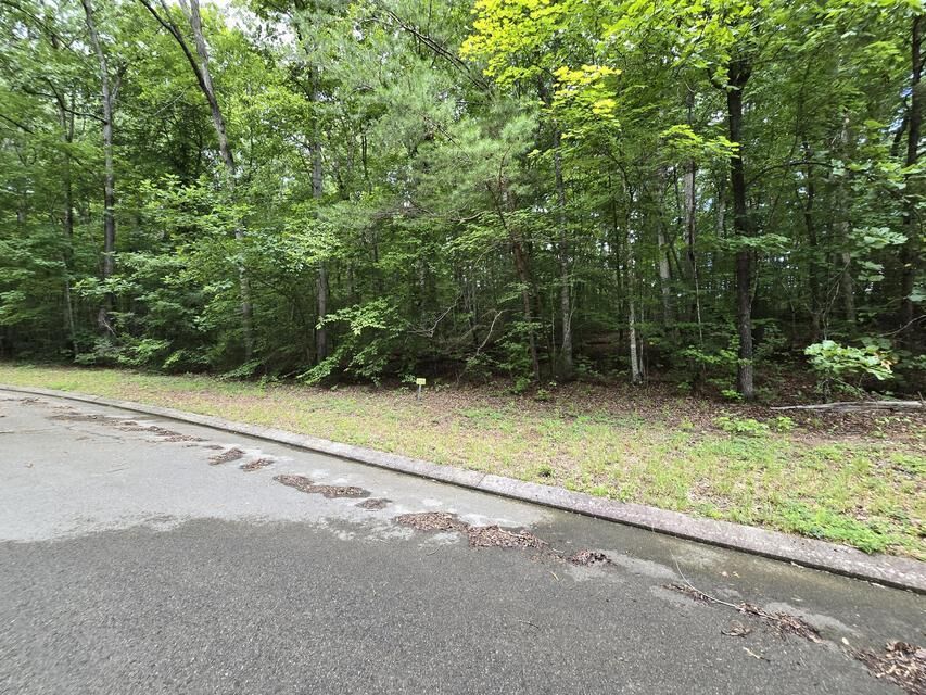 Property Photo:  Lot 136 Lower Brow Road  TN 37327 