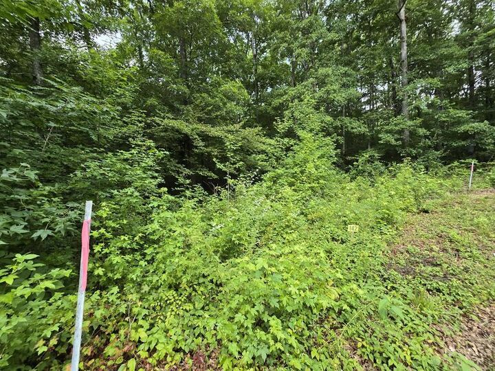 Property Photo: Lot 142 Lower Brow Road TN 37327