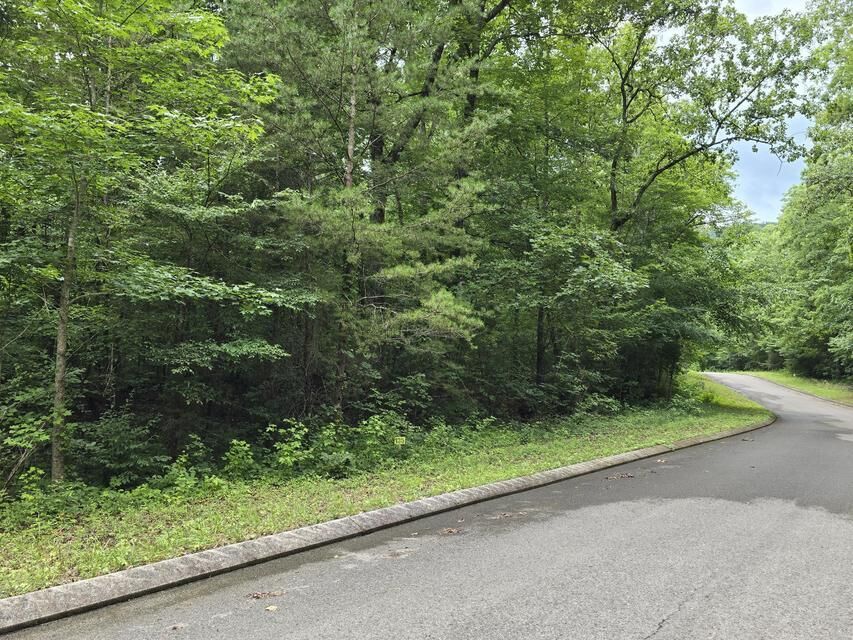 Property Photo:  Lot 135 Lower Brow Road  TN 37327 