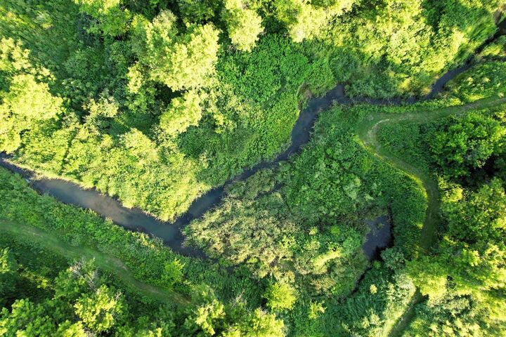 Property Photo: 86 +/- Acres Johnstown Road WI 54655