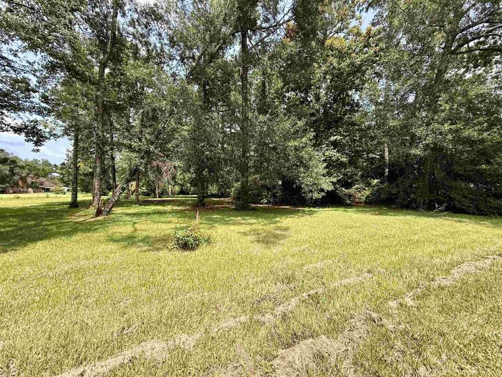 Property Photo: 00 Freeway Street TX 77662