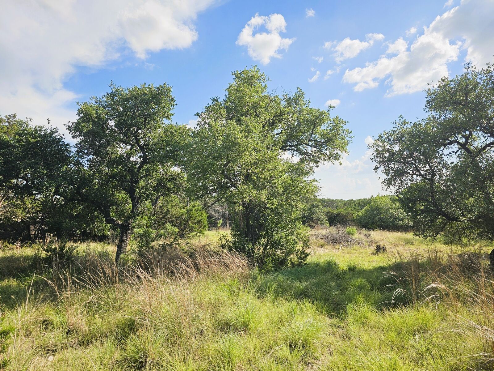 Property Photo: 100 Reavis Drive TX 76539