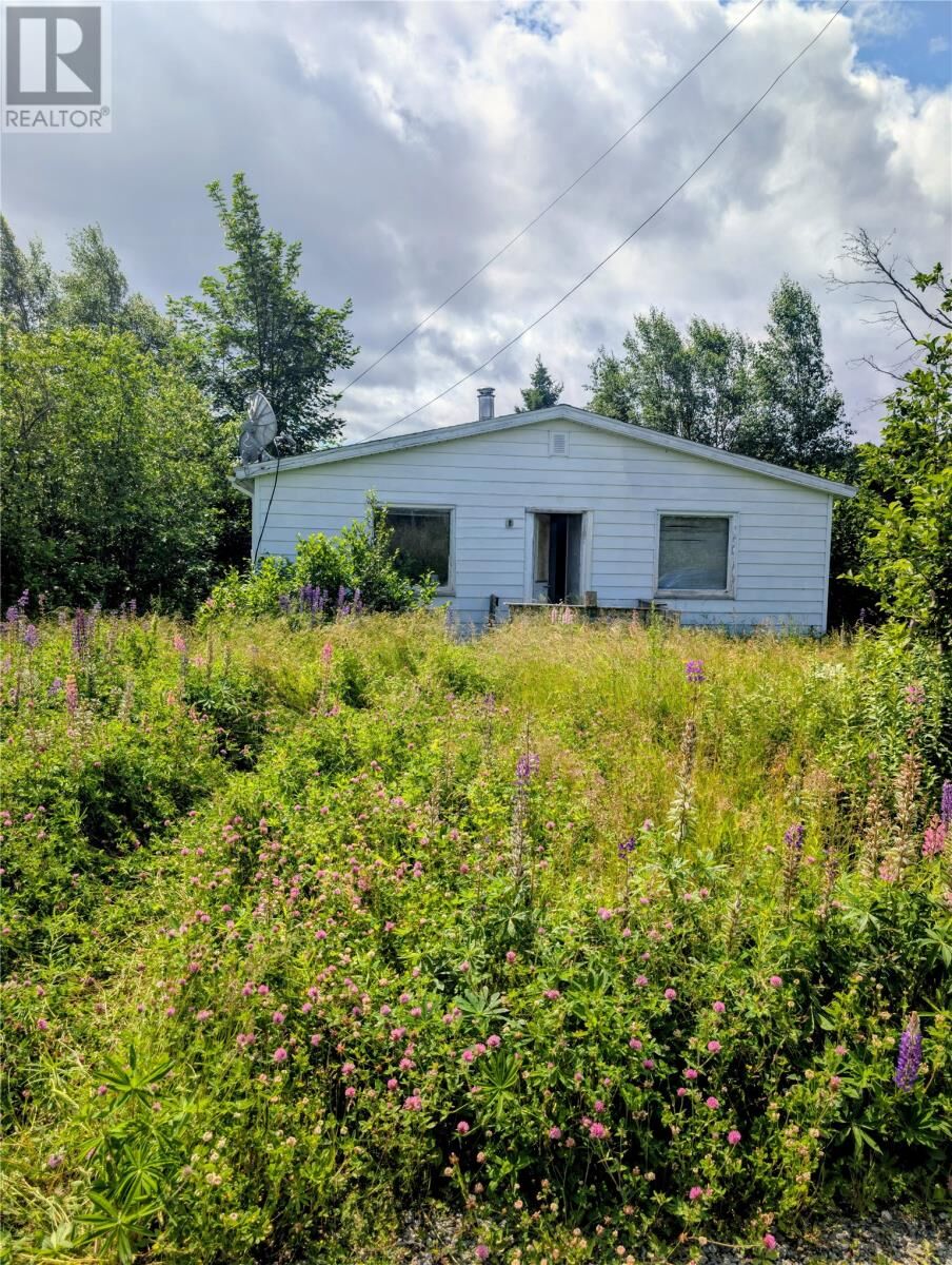 Property Photo: 29 Hillcrest Road NL A0G 2P0
