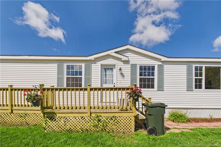 53 Andre — photo 1