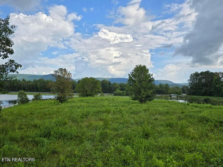 Property Photo:  Lot 1 Spring Lake Drive  TN 37327 
