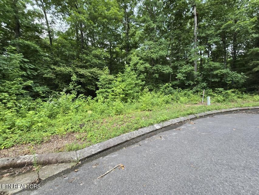Property Photo:  Lot 142 Lower Brow Rd  TN 37327 