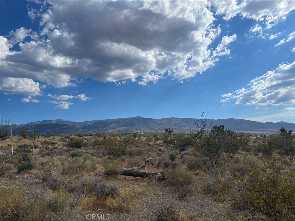 Property Photo:  2163 Calaveras  CA 92372 