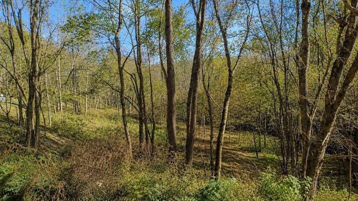 Property Photo: 0 Blackberry Ridge Way TN 37166