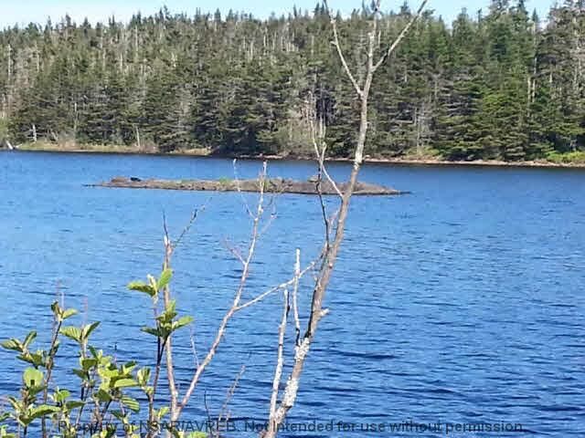 Property Photo:  Lot 14 East Side Grand River Road  NS B0E 1M0 