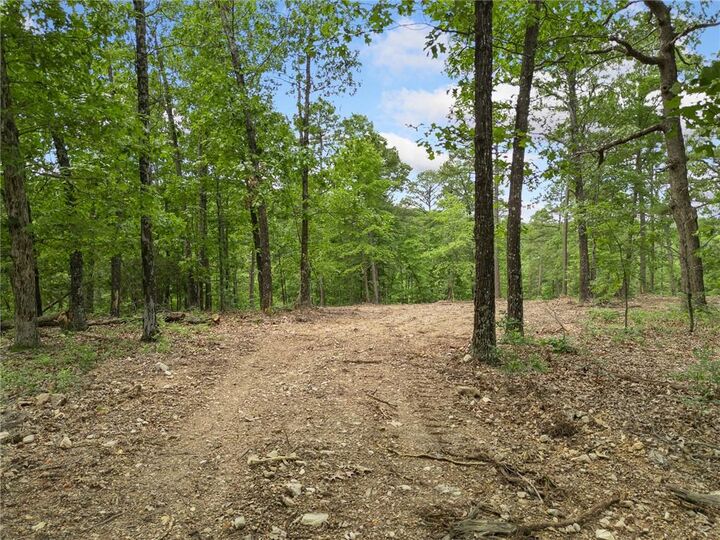 Property Photo: Tbd Morgan Cave Road AR 72601