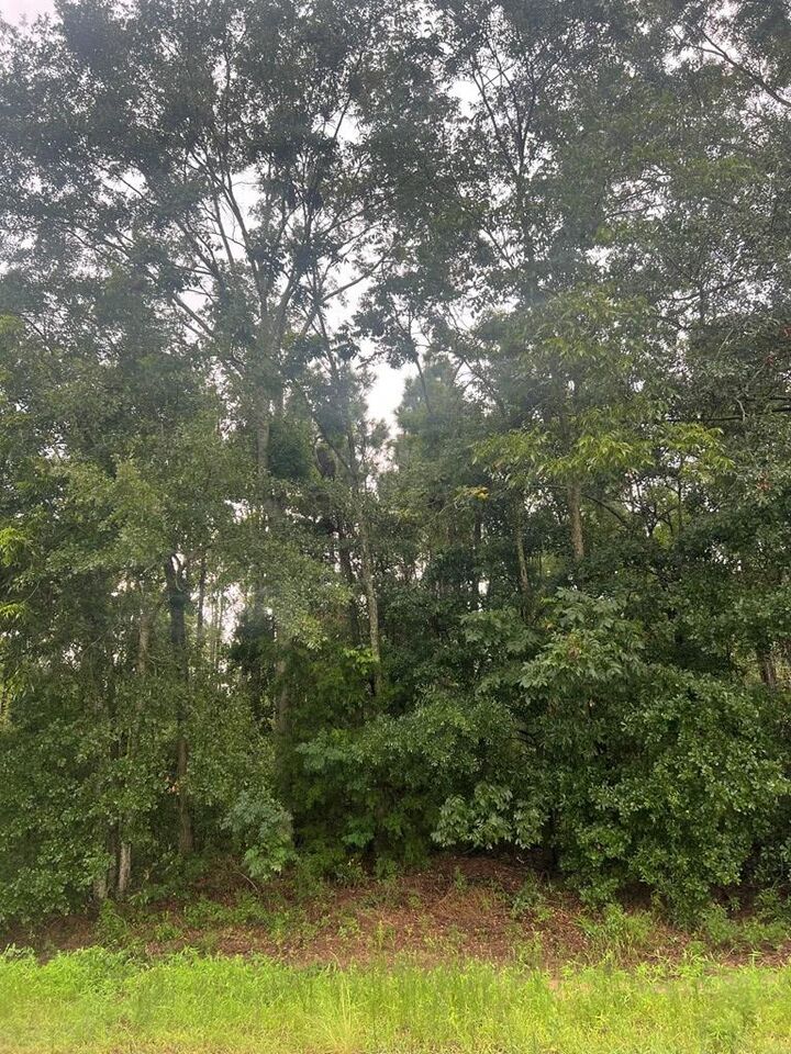 Property Photo:  Tbd Parcel 2 Henry County Road 12  AL 36345 