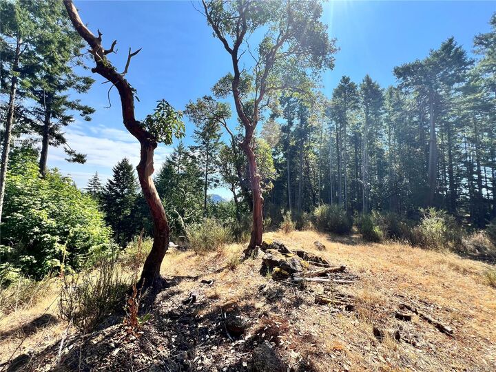 Property Photo: 131 Rainforest Rd BC V8K 1S4