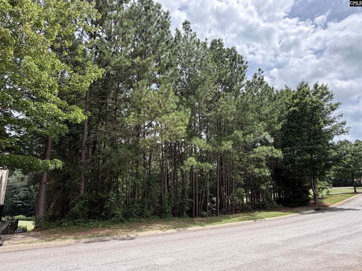 Property Photo:  122 Peppermint  SC 29016 