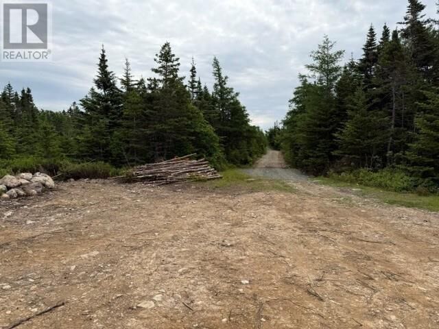 Property Photo:  #49 Batts Hill Road  NL A0B 2A0 